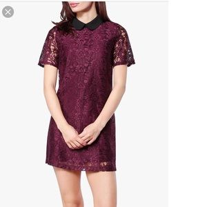 Floral Lace shift dress burgundy with Black collar